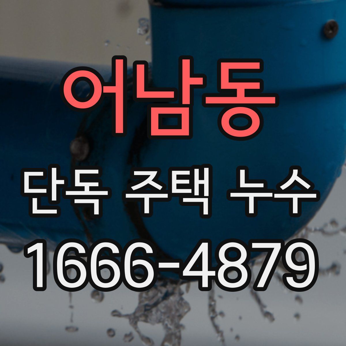 어남동 단독 주택 누수
