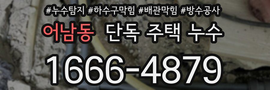 어남동 단독 주택 누수