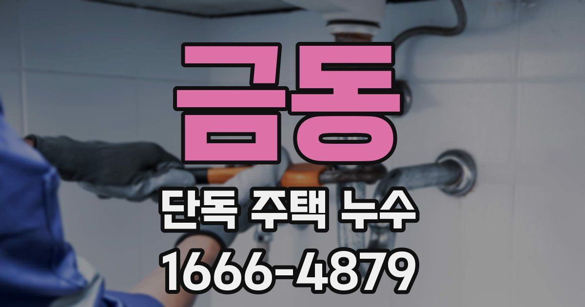 금동 단독 주택 누수