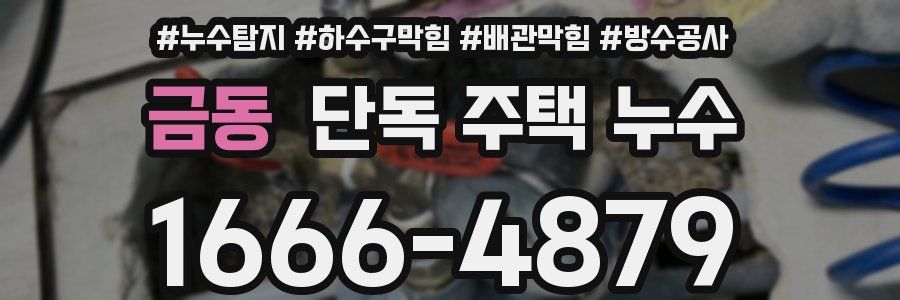 금동 단독 주택 누수