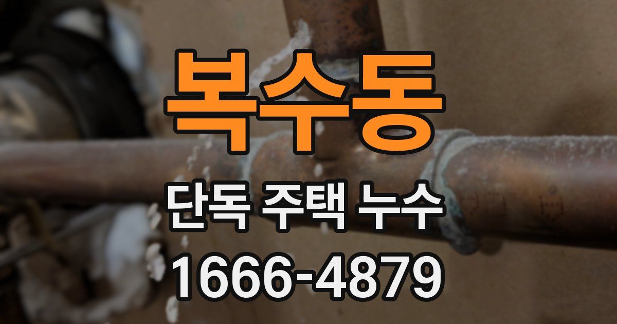 복수동 단독 주택 누수