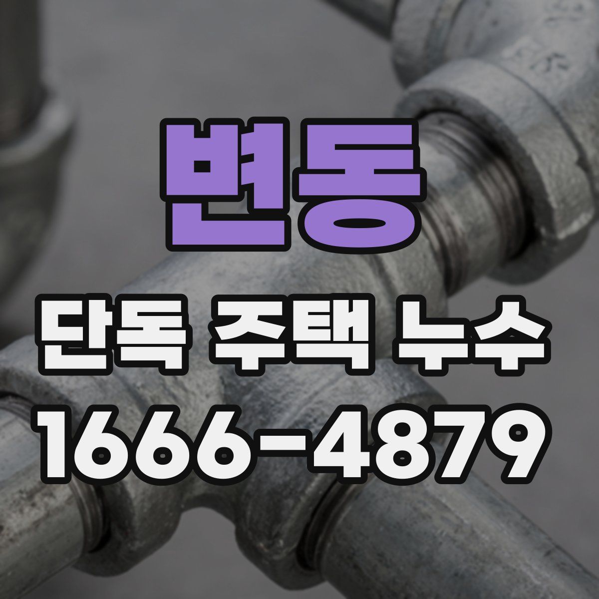 변동 단독 주택 누수