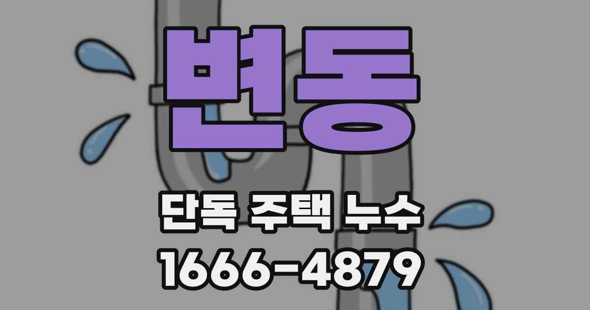 변동 단독 주택 누수