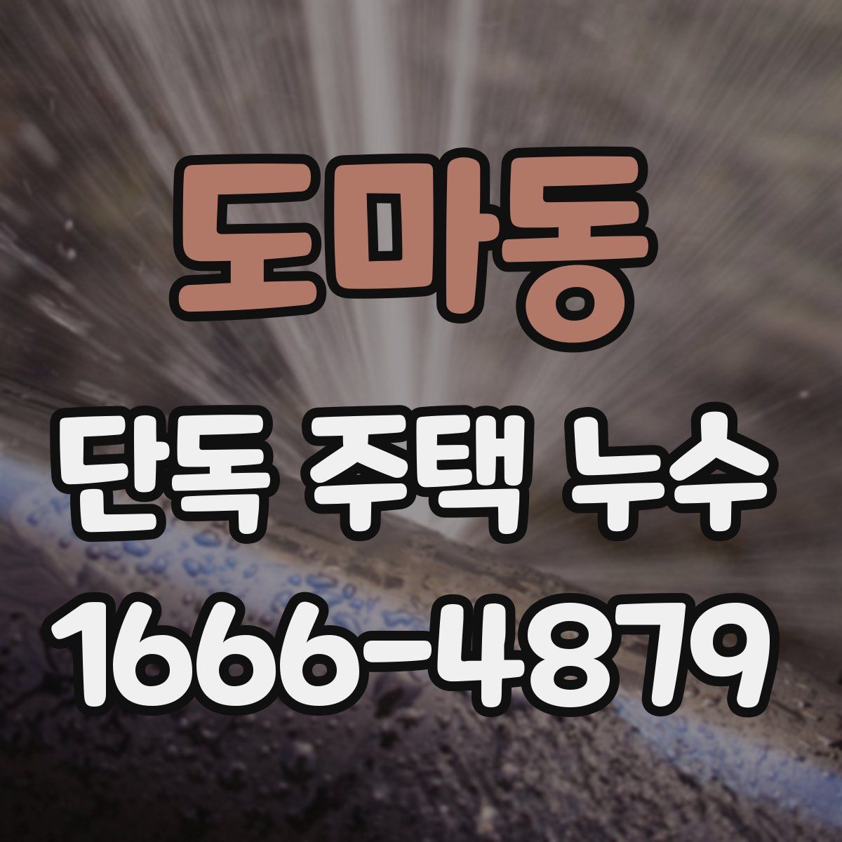 도마동 단독 주택 누수