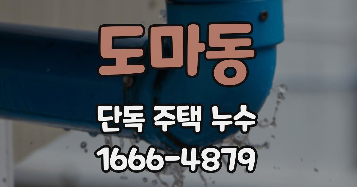 도마동 단독 주택 누수