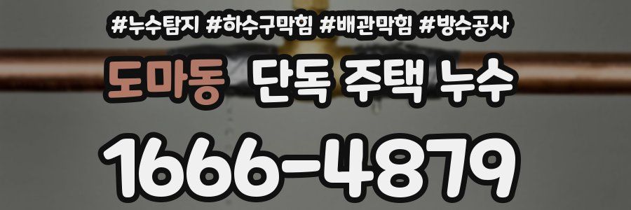 도마동 단독 주택 누수