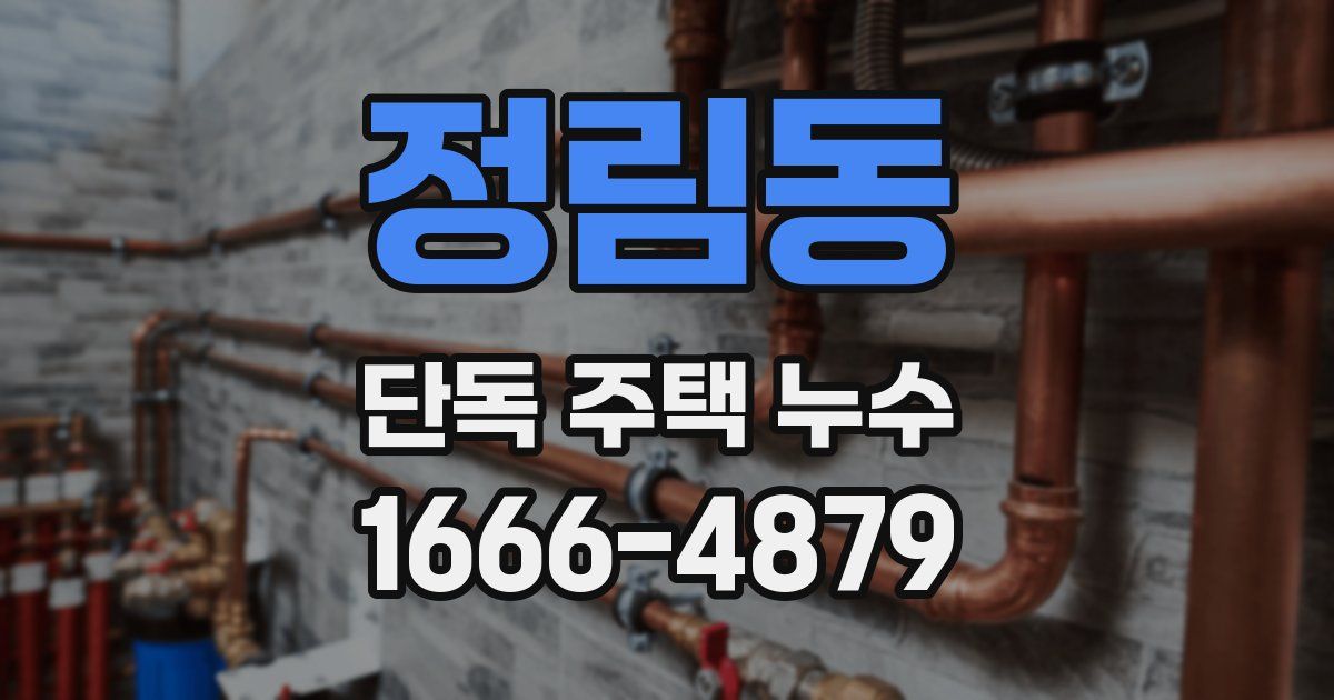 정림동 단독 주택 누수