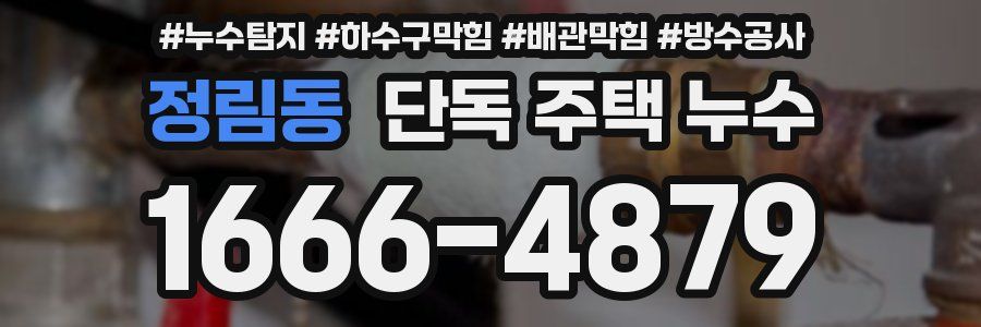 정림동 단독 주택 누수