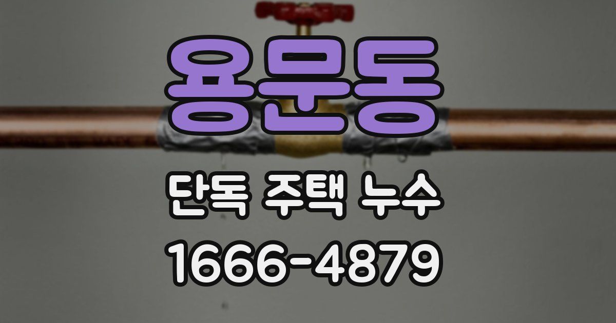 용문동 단독 주택 누수
