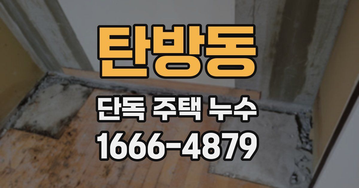 탄방동 단독 주택 누수