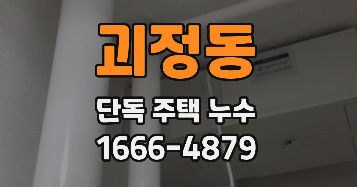 괴정동 단독 주택 누수
