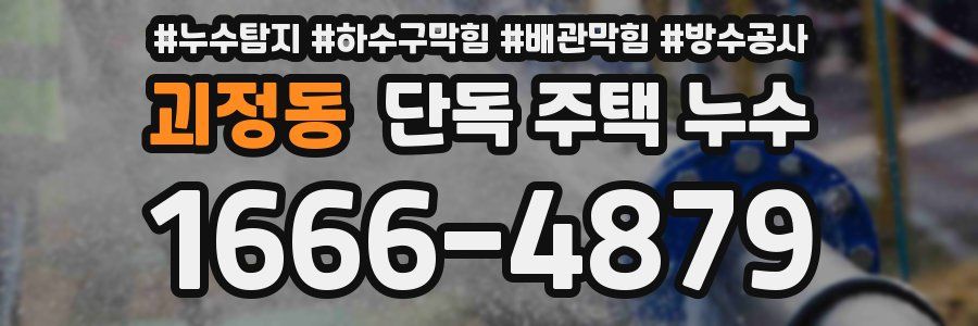 괴정동 단독 주택 누수