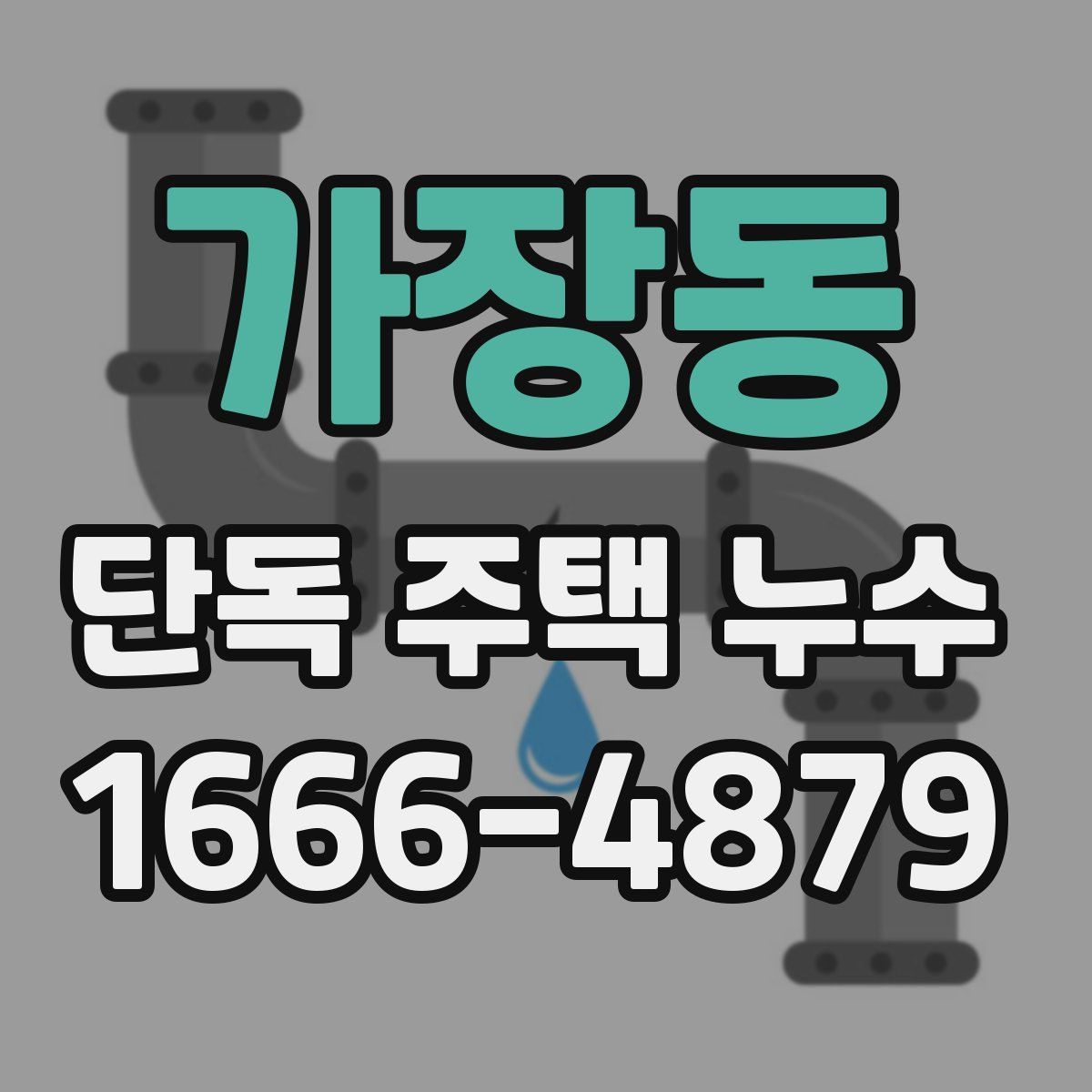 가장동 단독 주택 누수