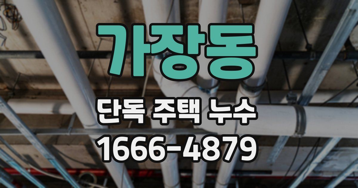 가장동 단독 주택 누수