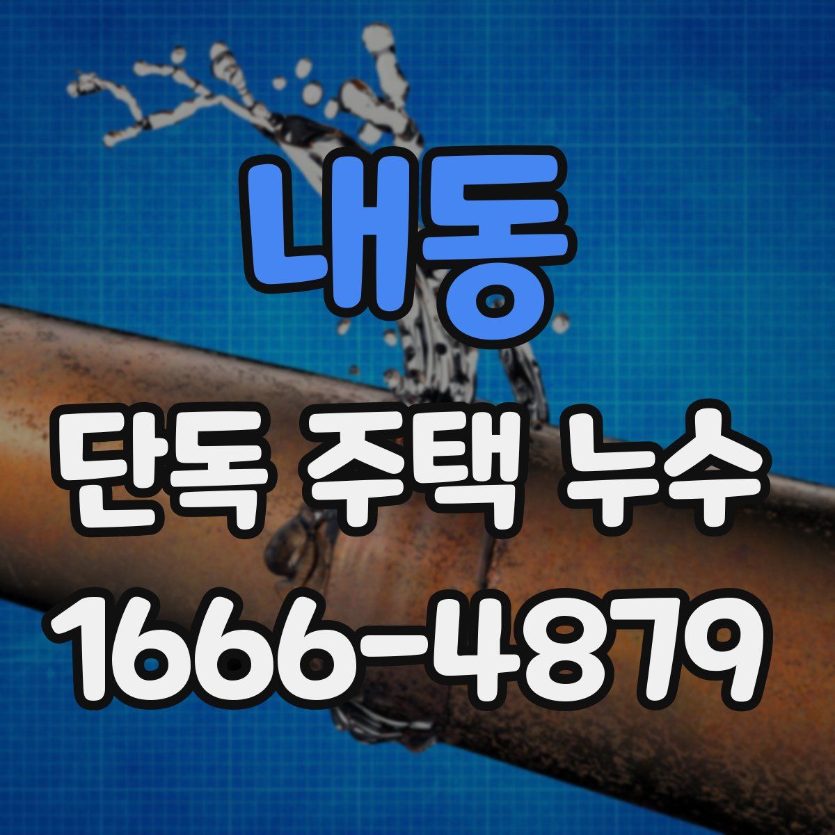 내동 단독 주택 누수