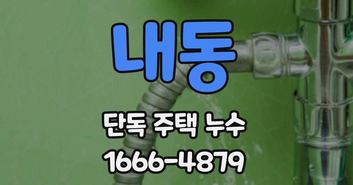 내동 단독 주택 누수