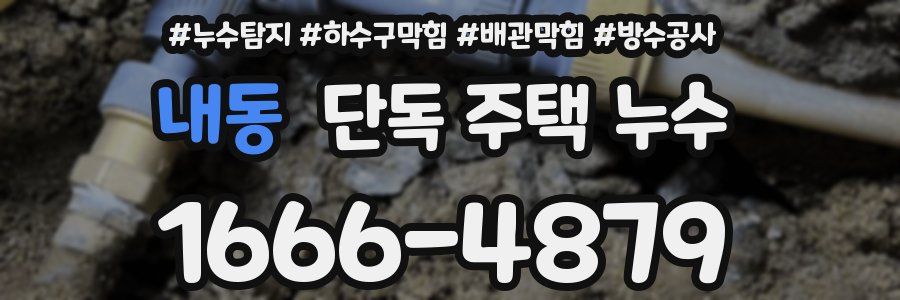 내동 단독 주택 누수