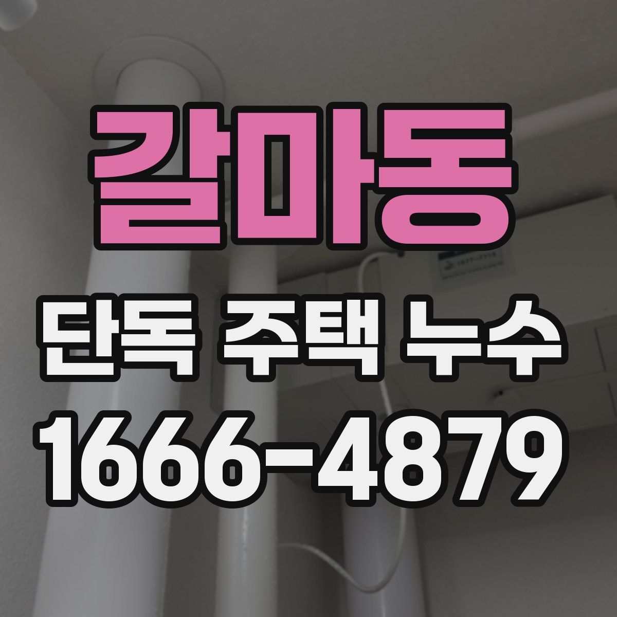 갈마동 단독 주택 누수