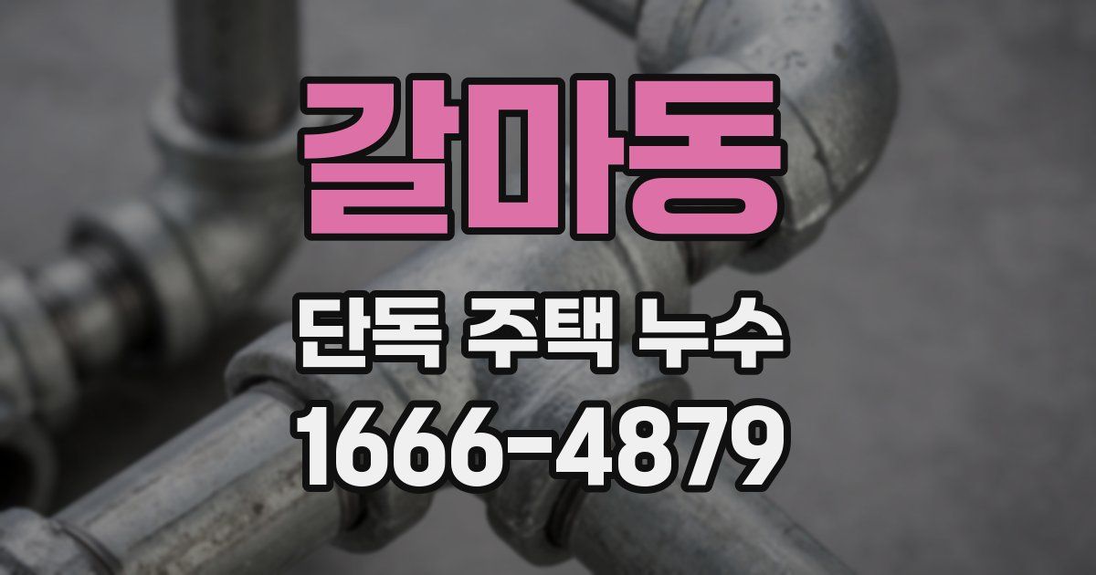 갈마동 단독 주택 누수
