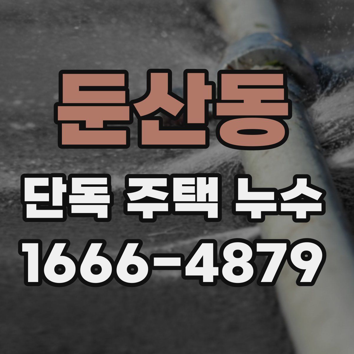 둔산동 단독 주택 누수