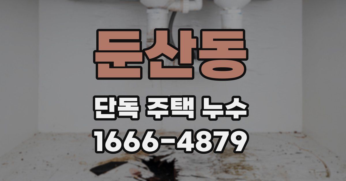 둔산동 단독 주택 누수