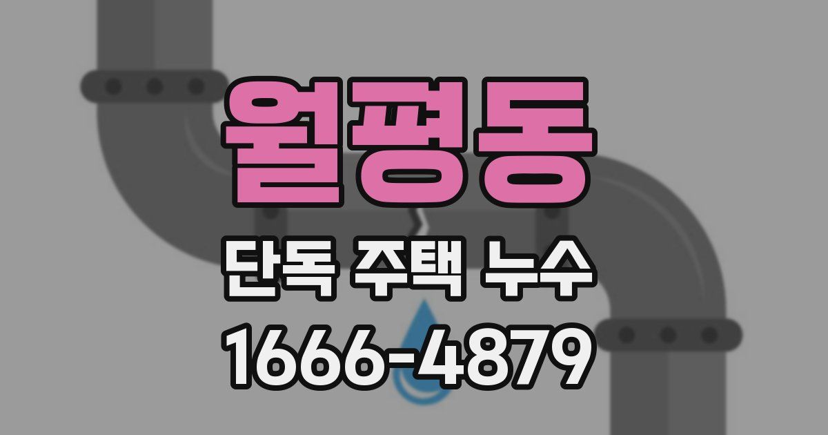 월평동 단독 주택 누수