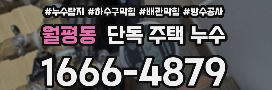 월평동 단독 주택 누수
