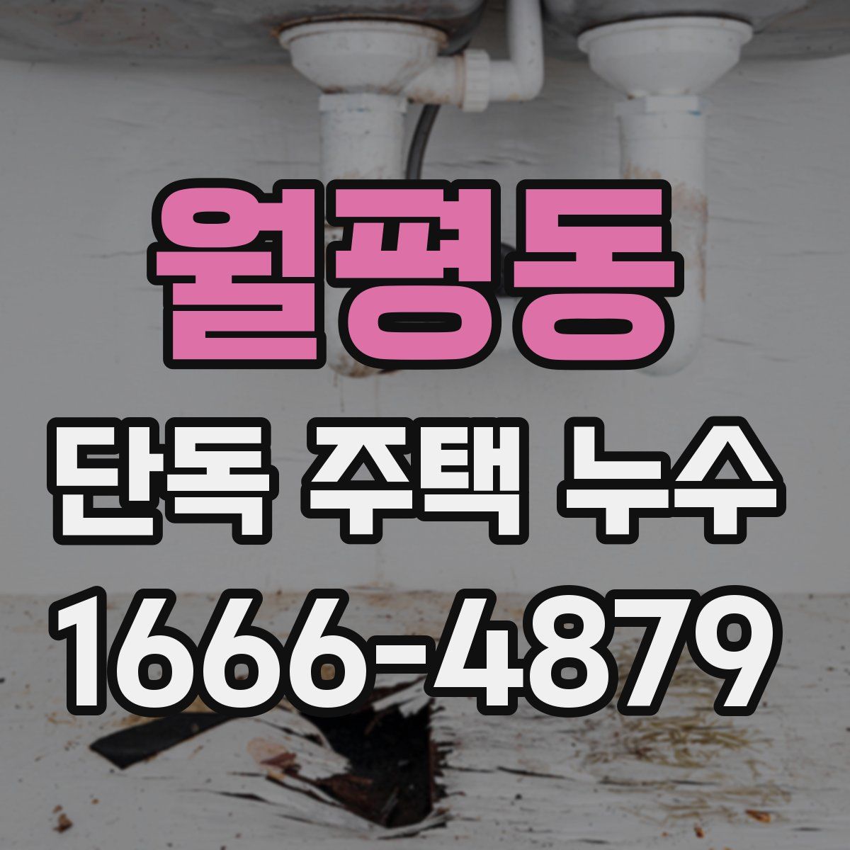 월평동 단독 주택 누수