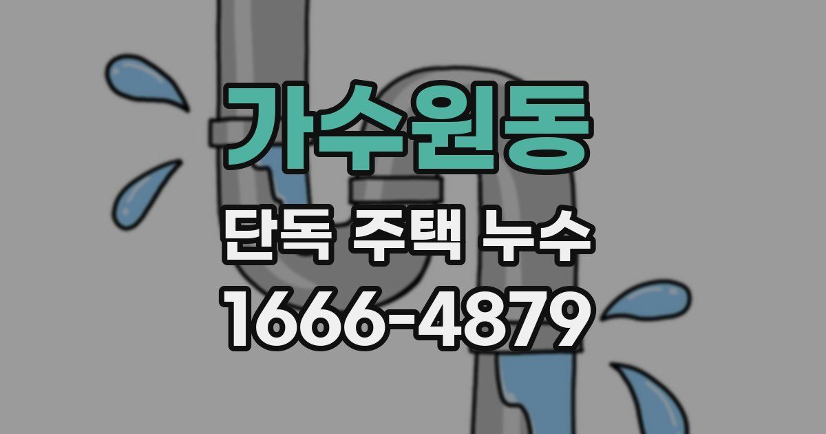 가수원동 단독 주택 누수