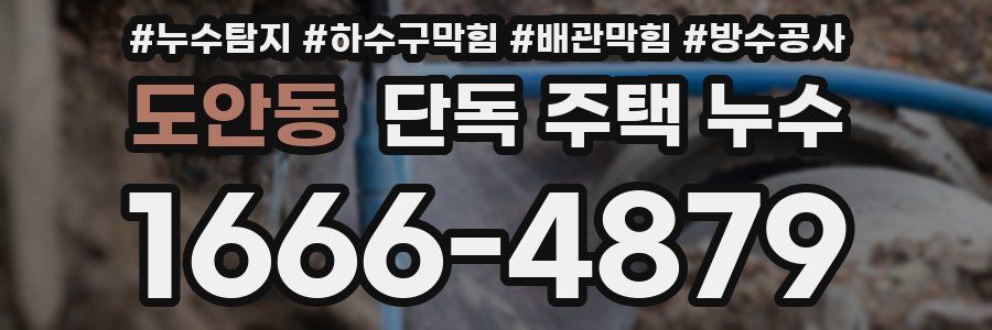 도안동 단독 주택 누수