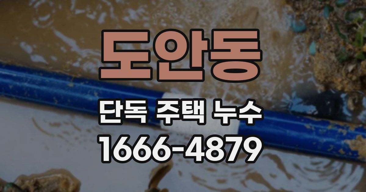 도안동 단독 주택 누수