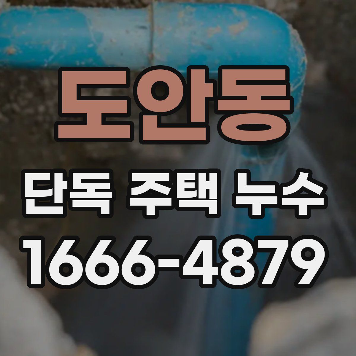 도안동 단독 주택 누수