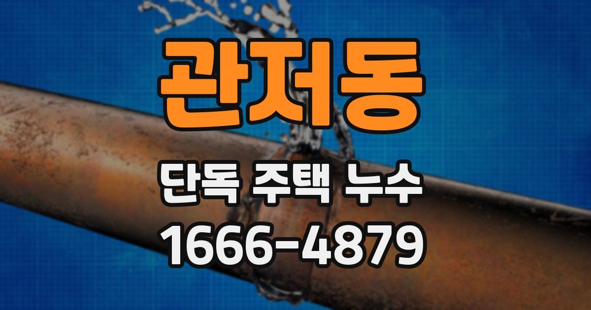 관저동 단독 주택 누수