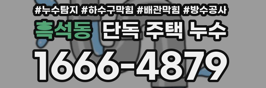 흑석동 단독 주택 누수