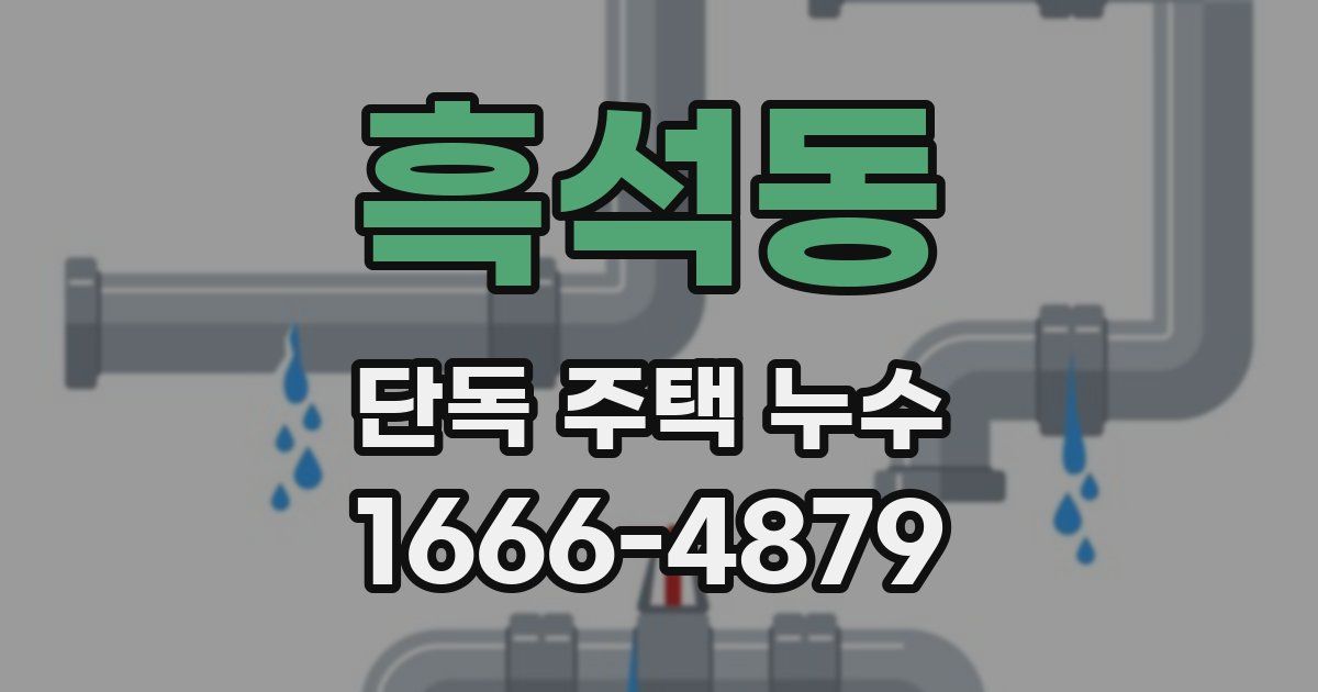 흑석동 단독 주택 누수