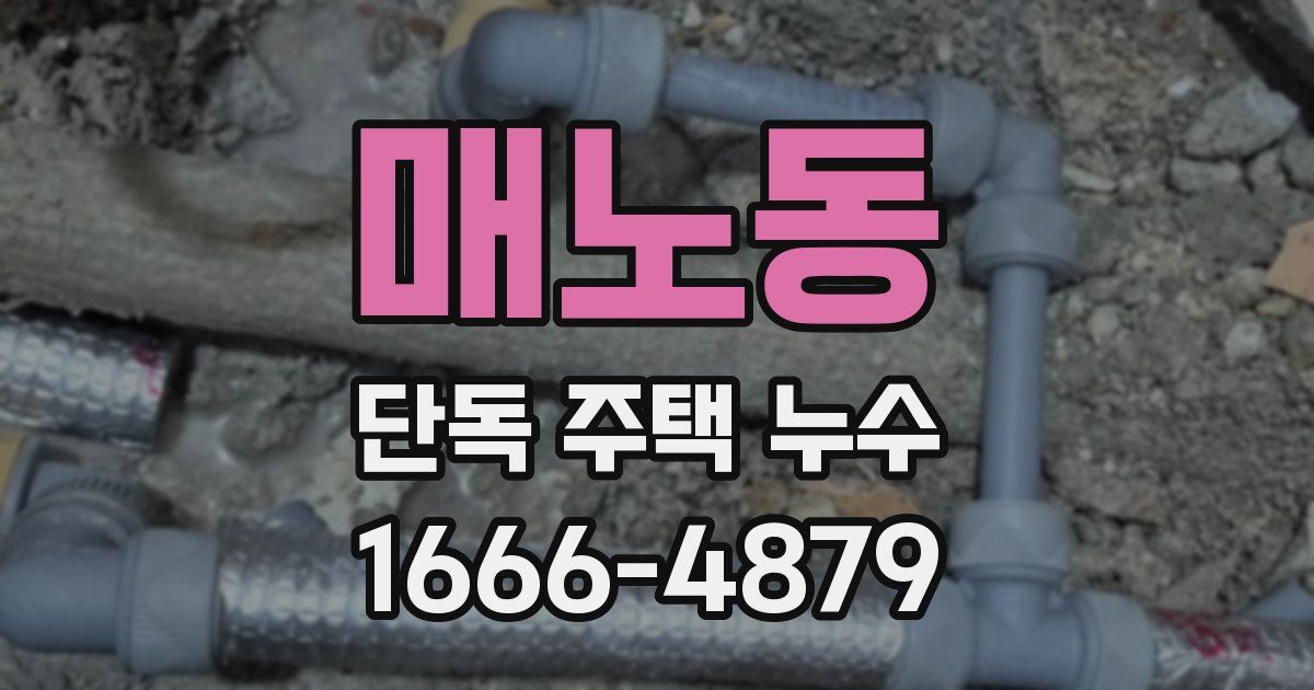 매노동 단독 주택 누수