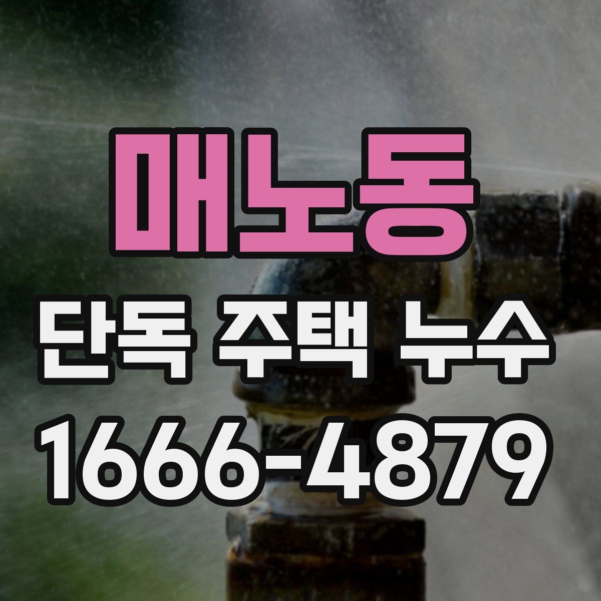 매노동 단독 주택 누수