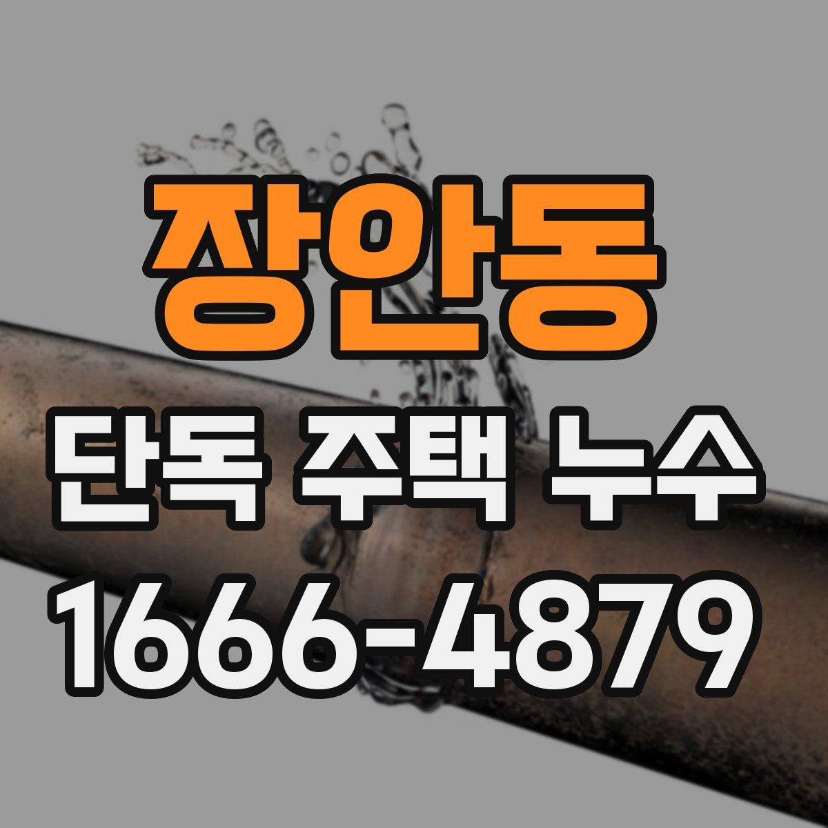 장안동 단독 주택 누수