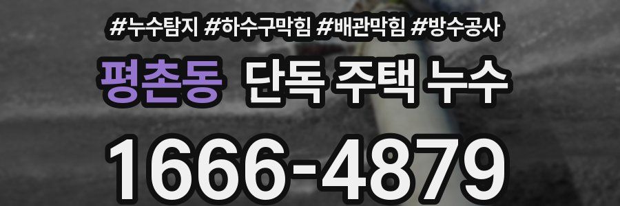 평촌동 단독 주택 누수