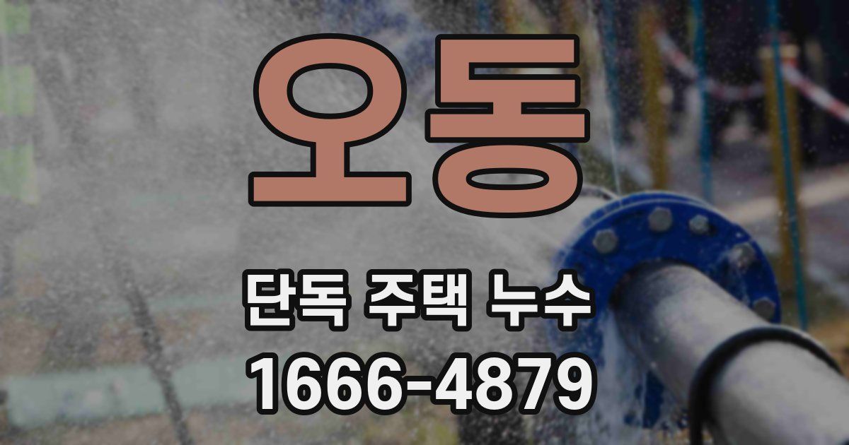오동 단독 주택 누수
