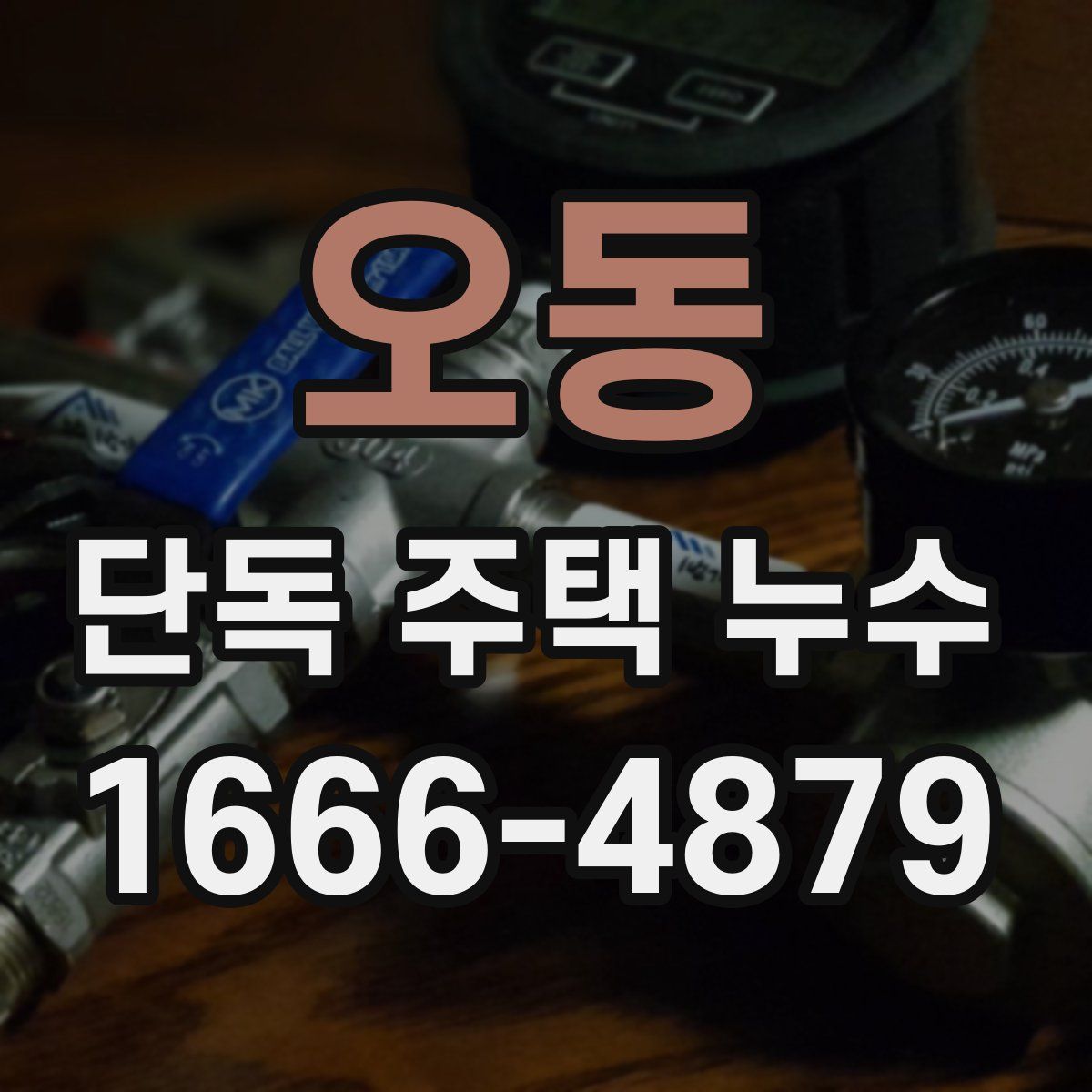 오동 단독 주택 누수