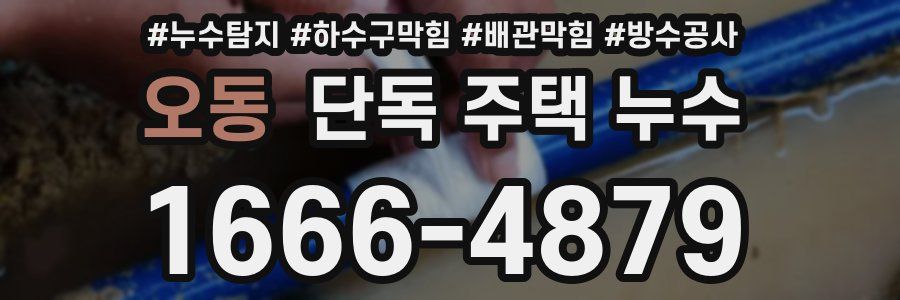 오동 단독 주택 누수