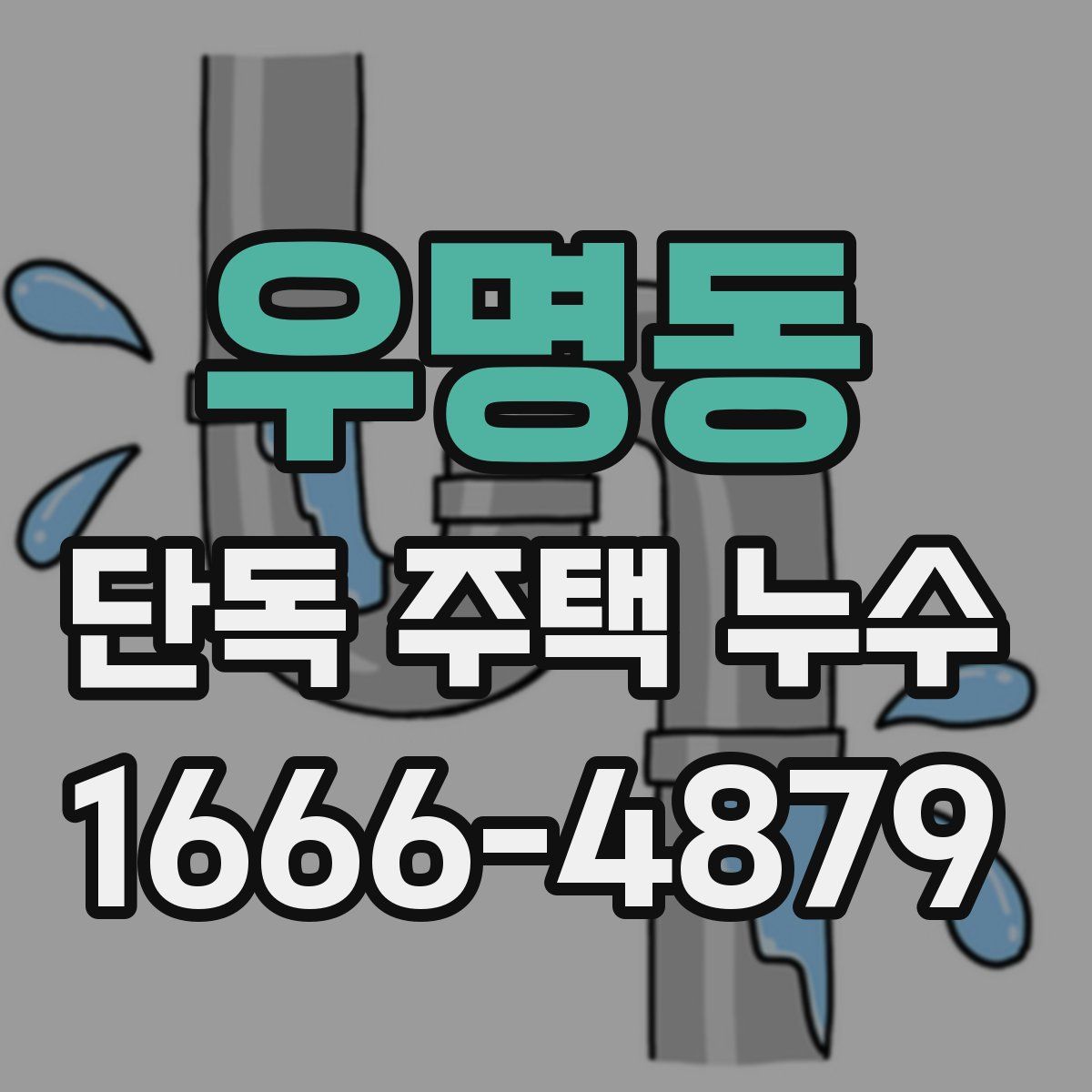 우명동 단독 주택 누수