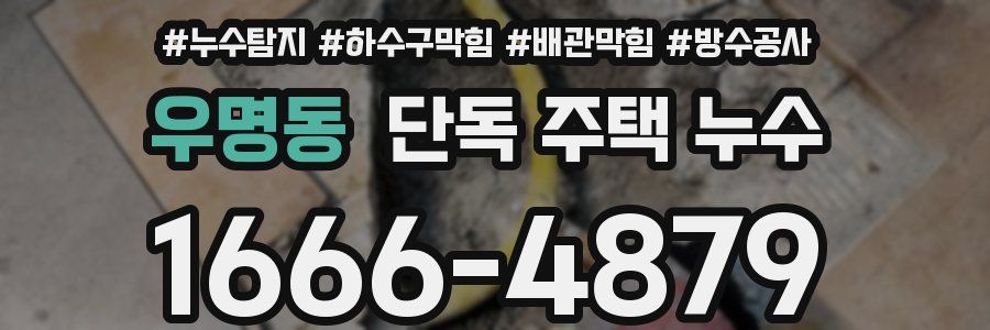 우명동 단독 주택 누수