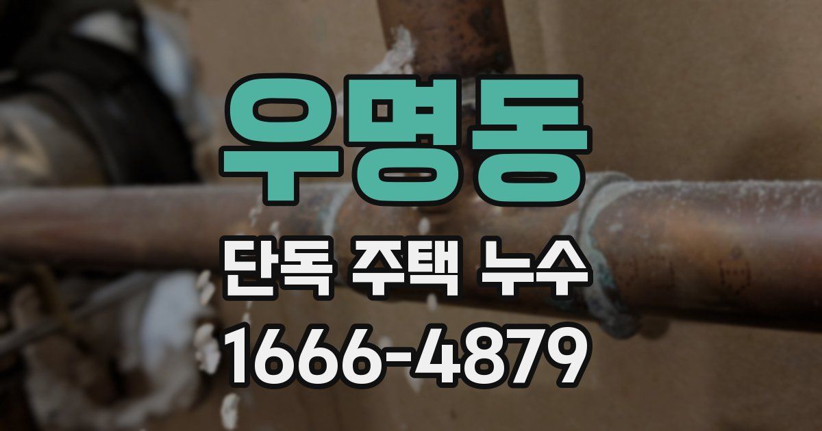우명동 단독 주택 누수