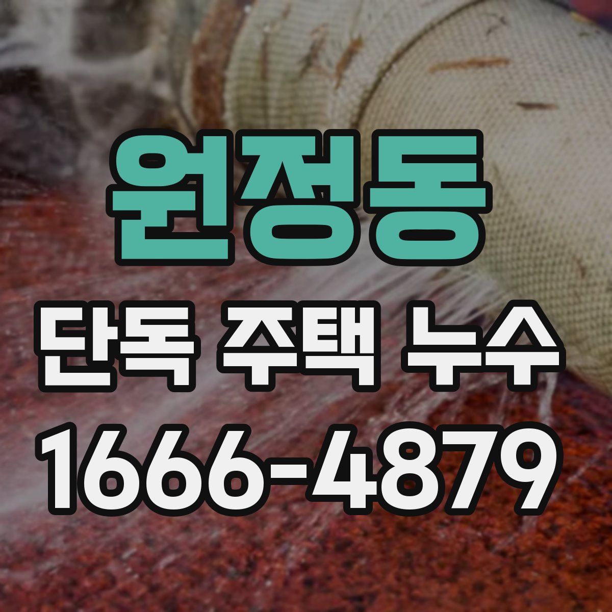 원정동 단독 주택 누수