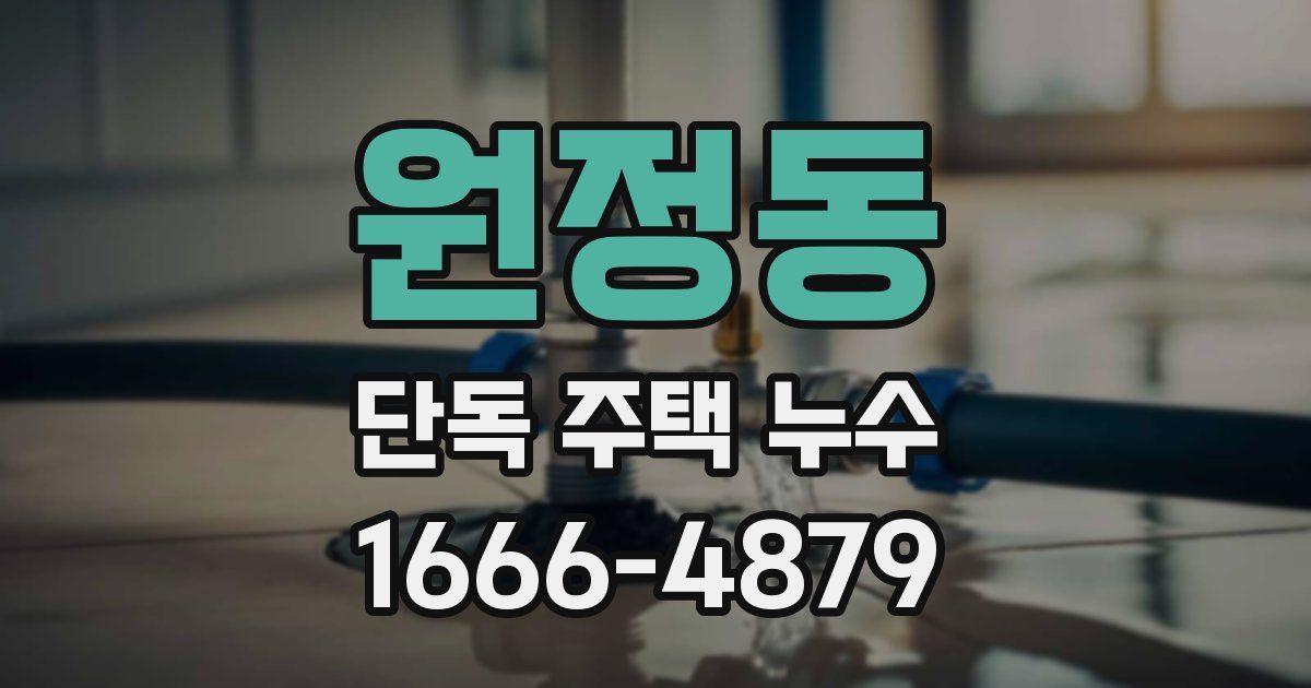 원정동 단독 주택 누수