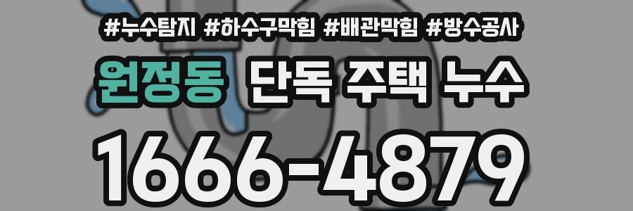 원정동 단독 주택 누수