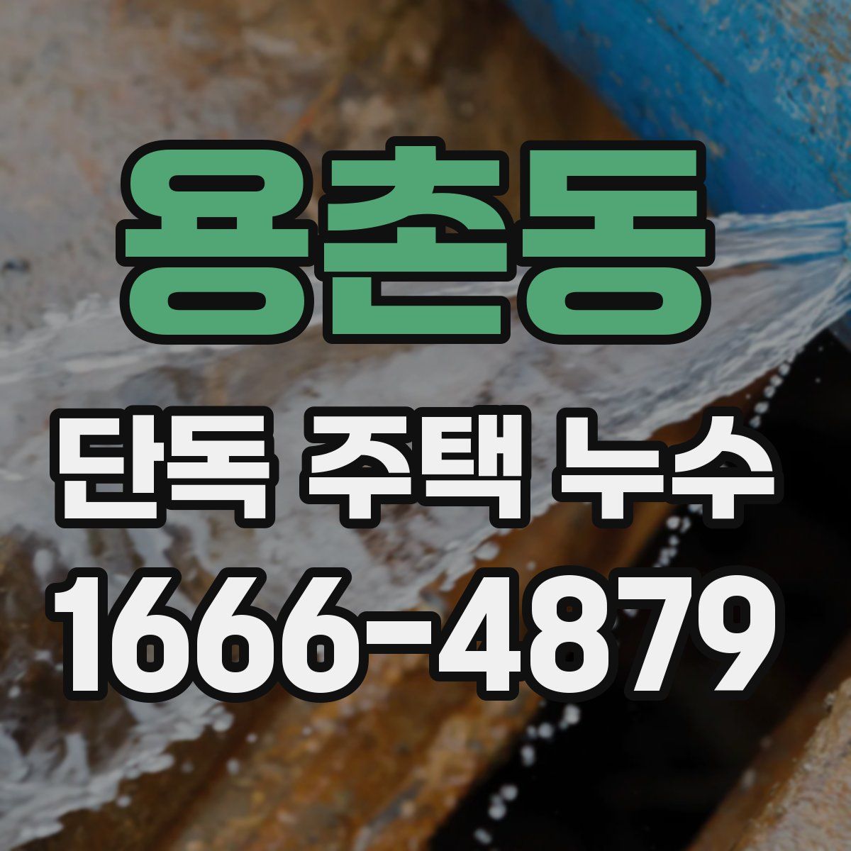 용촌동 단독 주택 누수