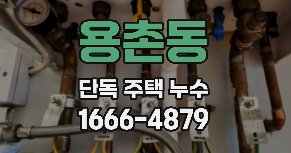 용촌동 단독 주택 누수